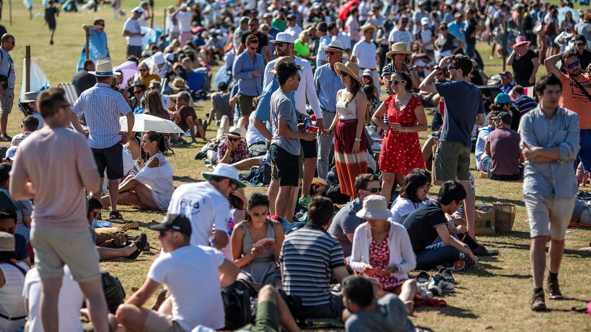 可能会更加 可能会更加